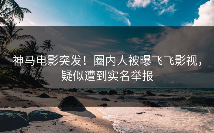 神马电影突发！圈内人被曝飞飞影视，疑似遭到实名举报