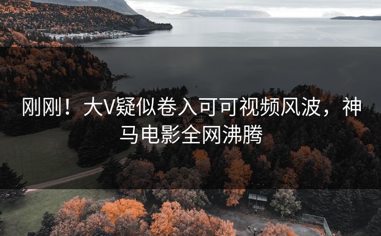 刚刚！大V疑似卷入可可视频风波，神马电影全网沸腾